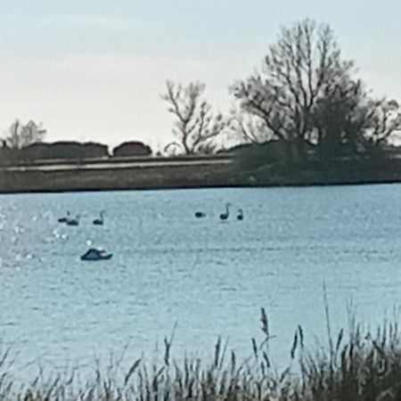 Aigues Mortes Studio De Vacances En Camargue エクステリア 写真