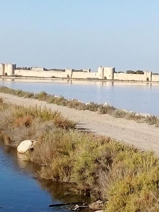 Aigues Mortes Studio De Vacances En Camargue エクステリア 写真