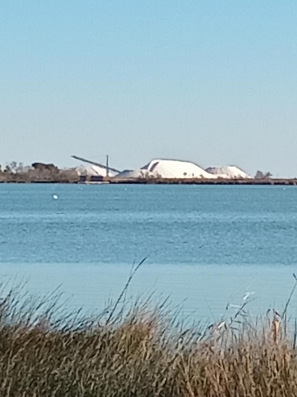 Aigues Mortes Studio De Vacances En Camargue エクステリア 写真