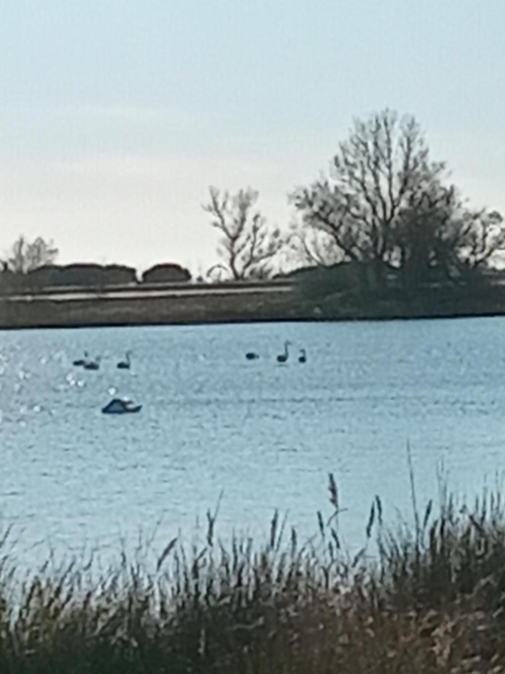 Aigues Mortes Studio De Vacances En Camargue エクステリア 写真